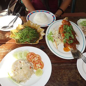2015-11-10-tag (22)