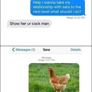 Cock