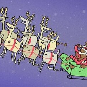 Hoho