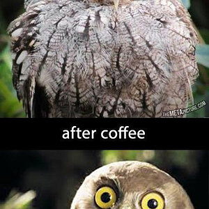BeforandafterCoffee