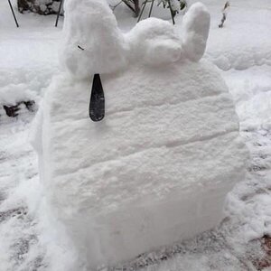 Snoopy