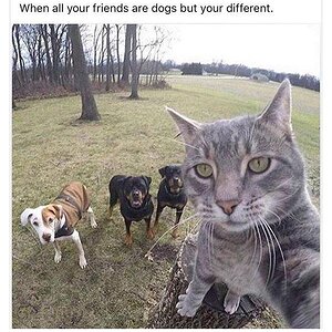 Different