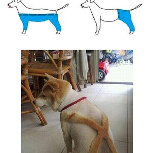 Hosehund
