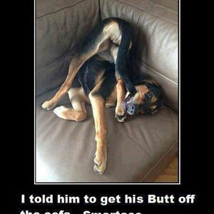 2sofa1