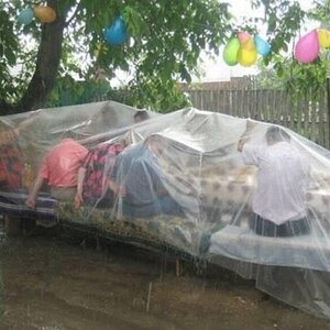 Gartenparty