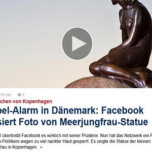 Fressenbuch_-_du_bist_bescheuert