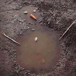 Schneemanngeschmolzen