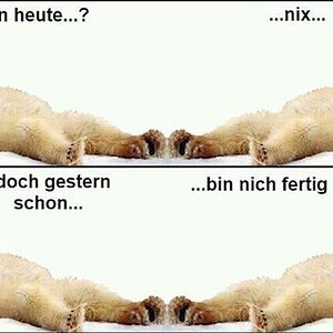 Nixemachen