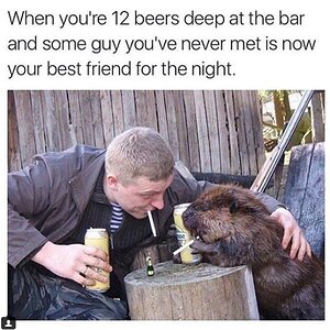 BestFriend