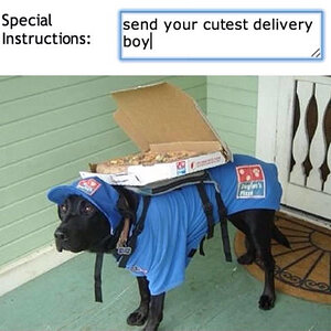Pizzabote