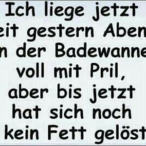 Fettloeser