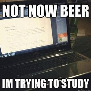 Beer-Study