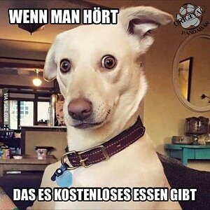 Kostenlos