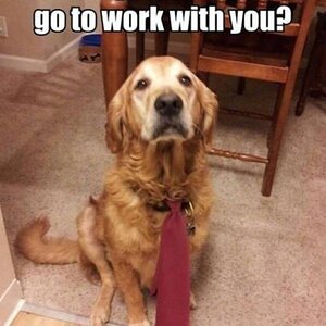 Worktogether