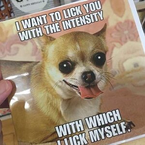 Licker