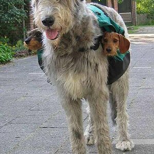 Subwoofers