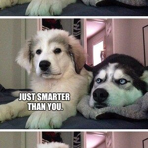 Smarter