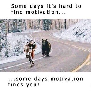 Motivation