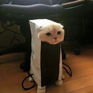 Popcornistalle