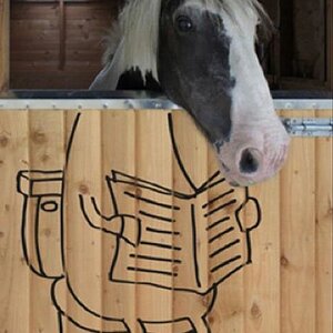 HorseBox