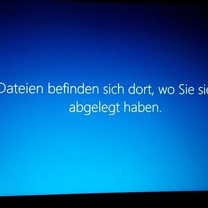 DankeWindows