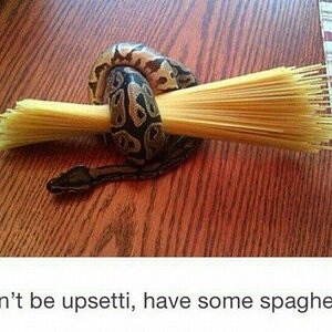 Spaghetti