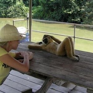 Tierwelt