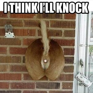 Knock