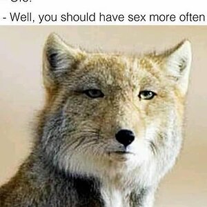 Duscht_du_nach_dem_sex
