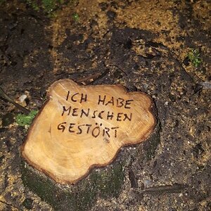 Gestoert