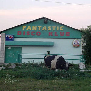 Dorfdisco