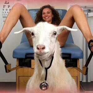 Goatlogist