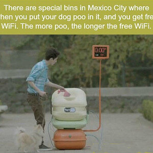 Hundewifi