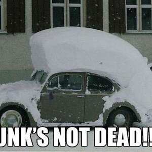 Punks