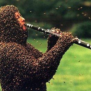 Bienenbeschwoerer