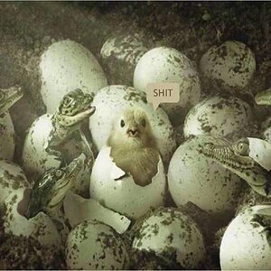 Shit02
