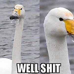 shit01