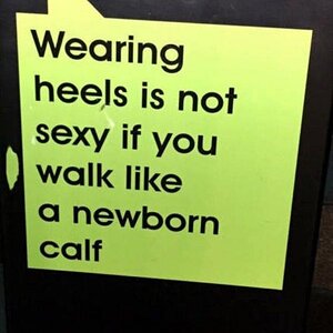 HeelsCalf