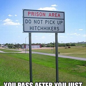 Hitchhiker