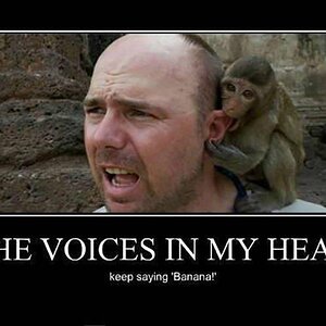 Voices