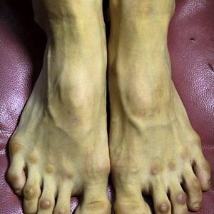 Ballerinafeed