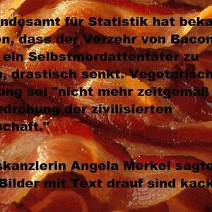 Bacon01