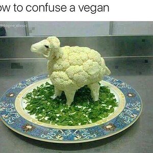 VeganererschreckenodereinenCarnivor