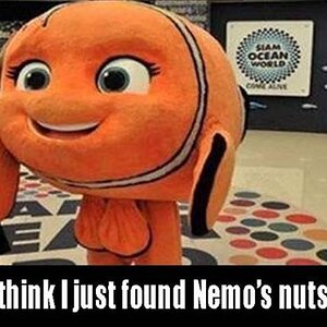 Nemo
