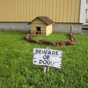 BewareDog