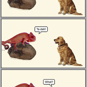 Kleinerhundewitz