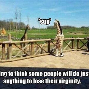 Virginity