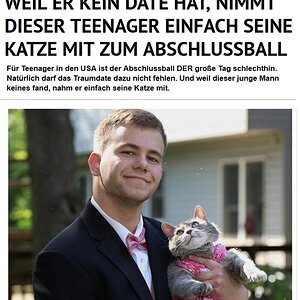 Traumfrau