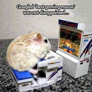Bestgamingmouse
