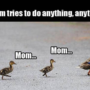 Mom